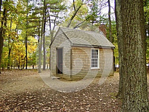Cabin at Walden Pond