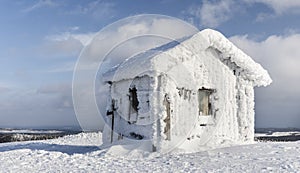 Cabin in the wilderness