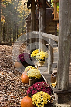 Cabin in the woods 2