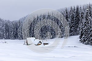 Cabin in the woods, a house covered in snow