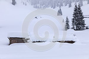 Cabin in the woods, a house covered in snow