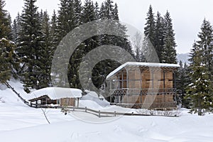 Cabin in the woods, a house covered in snow