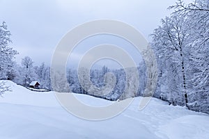 Cabin in the woods, a house covered in snow