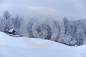 Cabin in the woods, a house covered in snow