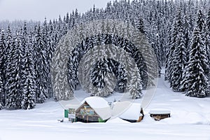 Cabin in the woods, a house covered in snow