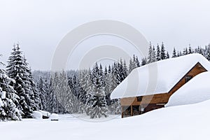 Cabin in the woods, a house covered in snow