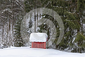 Cabin in the woods, a house covered in snow