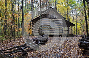 Cabin in the Woods photo