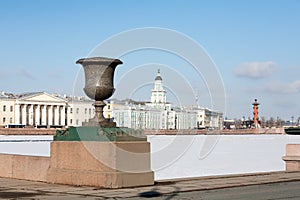 Cabinet of curiosities and Palace Bridge in winter