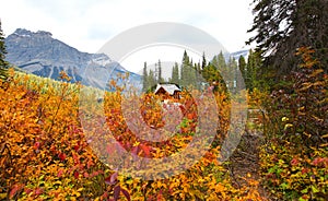 Cabins at Emerald lake with fall foliage in British Columbia, Canada