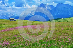 Cabins in a Meadow in the Italian Alps