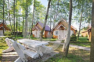 Cabins and trees