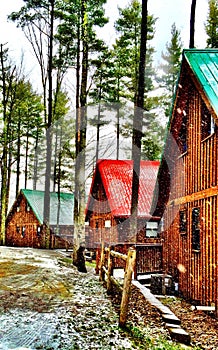 Cabins in the woods