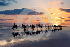 Cable Beach, Broome, camels on the shore at sunset. Western Australia