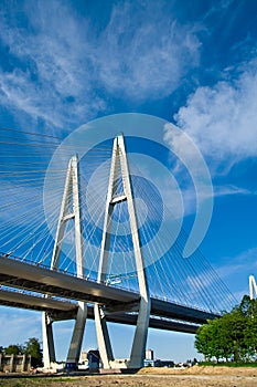 Cable-braced bridge across the river