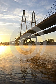 Cable-braced bridge across the river Neva