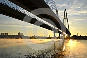 Cable-braced bridge across the river Neva