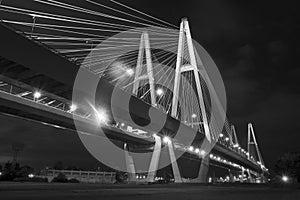 Cable bridge at night (black and white)
