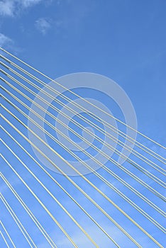 cable bridge - Ponte Estaiada