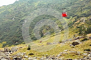 Cable car above Transfagarasan road in romania