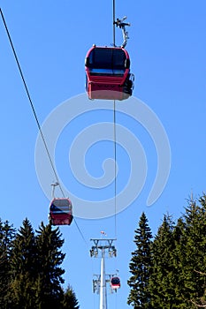 Cable car above trees