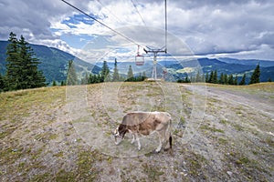 Cable car in Borsa photo