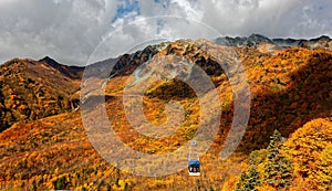 A cable car flying over the beautiful autumn valley in Tateyama Kurobe Alpine Route, Toyama, Japan
