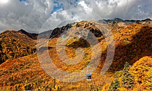 A cable car flying over the beautiful autumn valley in Tateyama Kurobe Alpine Route, Toyama, Japan