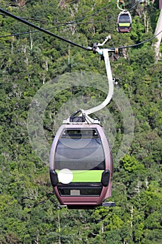 Cable Car in the Rainforest