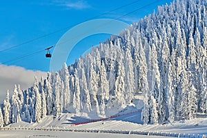 Cable car with skiers in Poiana Brasov ski resort,  ski slopes whit forest covered in snow on winter season