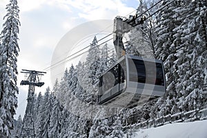 Cable car in snowy forest