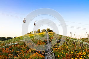 Cable cars and colorful flowers in a garden up in a hill