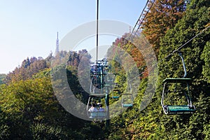 Cable Cars surrounded by trees in the forest, China, Changsha, Yuelu Mountain