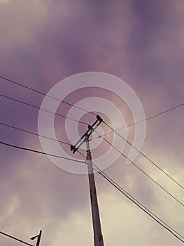 Cable pole with purple sky