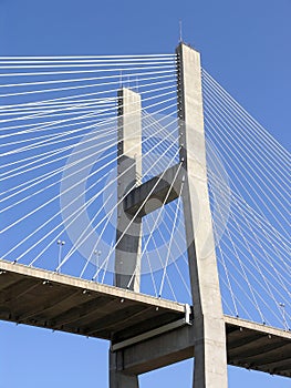 Cable Stay Bridge