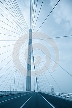 Cable stayed bridge
