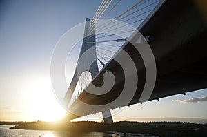 Cable-stayed bridge