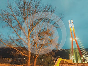 Cable-stayed bridge with big steel cables, closeup at night time in bright lights. Leavesless tree against the night sky