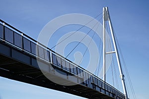 Cable-stayed bridge and cloudless sky