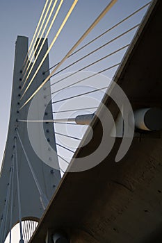 Cable-stayed bridge