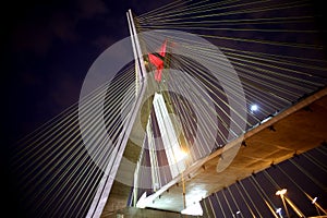 Cable-stayed bridge illuminated at night