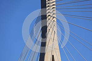 Cable stayed bridge pylon