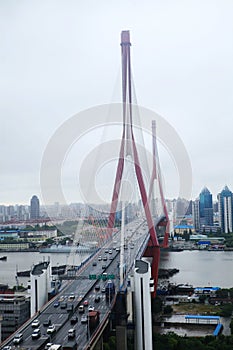 Cable-stayed suspension bridge