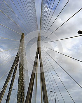 Cables in a modified fan design on a cable stay bridge photo
