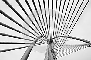 Cables and Pole of Wawasan Bridge