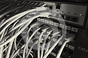 Cables in the router on the local area network photo