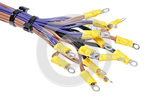 Cables with terminals used in electrical wiring system