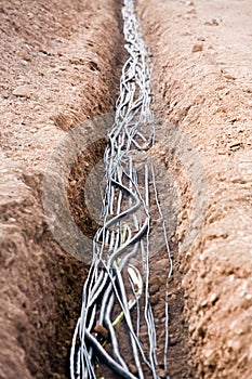 Cables in trench