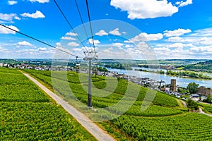 Cableway cablecar above vineyards near Rhein Rhine river in Rued