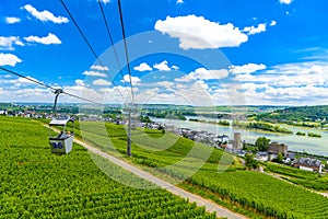 Cableway cablecar above vineyards near Rhein Rhine river in Rued